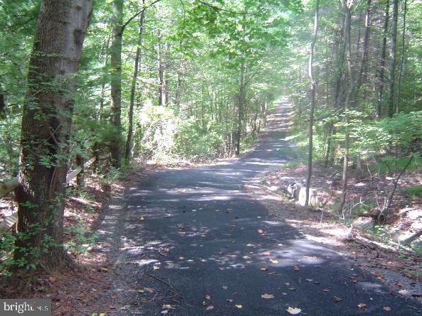 10929 HOWLAND DR, RESTON, Virginia 20191, 3 Bedrooms Bedrooms, ,3 BathroomsBathrooms,Residential,For sale,10929 HOWLAND DR,VAFX2276736 MLS # VAFX2276736 10929 HOWLAND DR, RESTON, Virginia 20191, 3 Bedrooms Bedrooms, ,3 BathroomsBathrooms,Residential,For sale,10929 HOWLAND DR,VAFX2276736 MLS # VAFX2276736