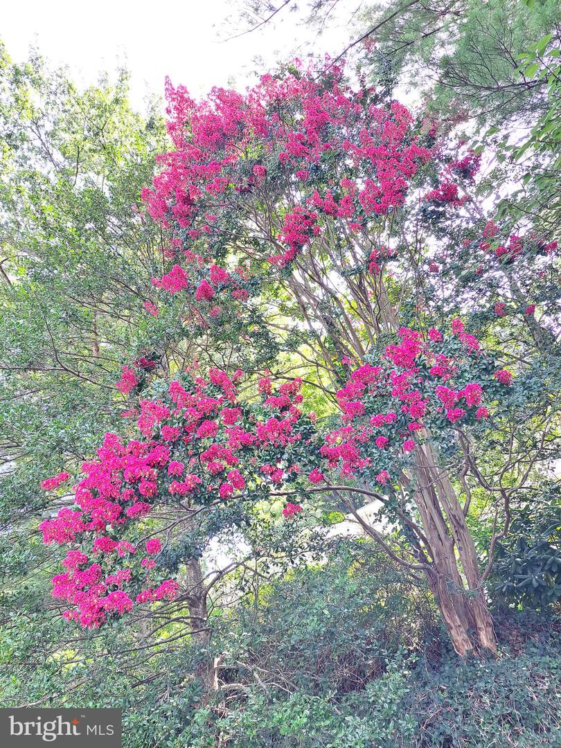 10929 HOWLAND DR, RESTON, Virginia 20191, 3 Bedrooms Bedrooms, ,3 BathroomsBathrooms,Residential,For sale,10929 HOWLAND DR,VAFX2276736 MLS # VAFX2276736 10929 HOWLAND DR, RESTON, Virginia 20191, 3 Bedrooms Bedrooms, ,3 BathroomsBathrooms,Residential,For sale,10929 HOWLAND DR,VAFX2276736 MLS # VAFX2276736