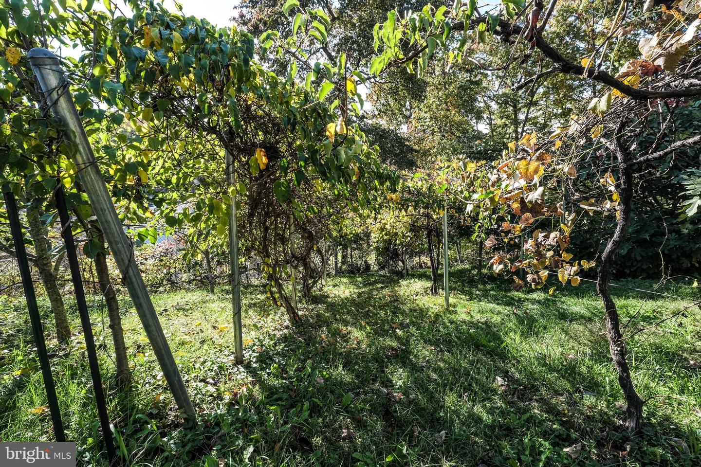 1421 PICKETT CT, FRONT ROYAL, Virginia 22630, 5 Bedrooms Bedrooms, ,3 BathroomsBathrooms,Residential,For sale,1421 PICKETT CT,VAWR2012668 MLS # VAWR2012668 1421 PICKETT CT, FRONT ROYAL, Virginia 22630, 5 Bedrooms Bedrooms, ,3 BathroomsBathrooms,Residential,For sale,1421 PICKETT CT,VAWR2012668 MLS # VAWR2012668