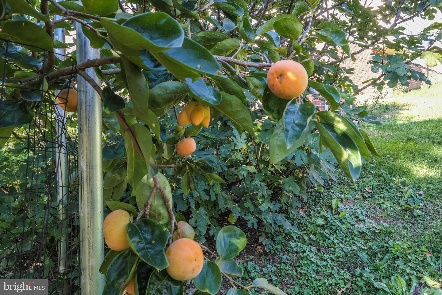 1421 PICKETT CT, FRONT ROYAL, Virginia 22630, 5 Bedrooms Bedrooms, ,3 BathroomsBathrooms,Residential,For sale,1421 PICKETT CT,VAWR2012668 MLS # VAWR2012668 1421 PICKETT CT, FRONT ROYAL, Virginia 22630, 5 Bedrooms Bedrooms, ,3 BathroomsBathrooms,Residential,For sale,1421 PICKETT CT,VAWR2012668 MLS # VAWR2012668