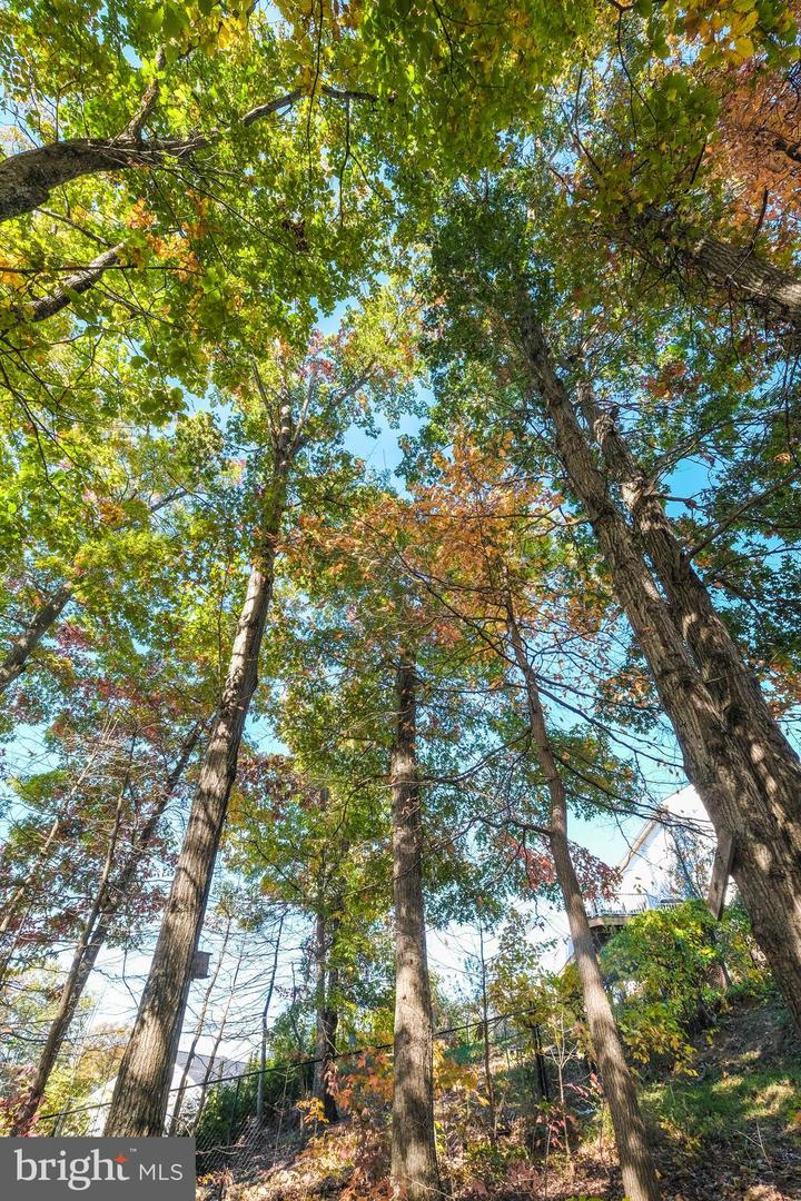 1421 PICKETT CT, FRONT ROYAL, Virginia 22630, 5 Bedrooms Bedrooms, ,3 BathroomsBathrooms,Residential,For sale,1421 PICKETT CT,VAWR2012668 MLS # VAWR2012668 1421 PICKETT CT, FRONT ROYAL, Virginia 22630, 5 Bedrooms Bedrooms, ,3 BathroomsBathrooms,Residential,For sale,1421 PICKETT CT,VAWR2012668 MLS # VAWR2012668