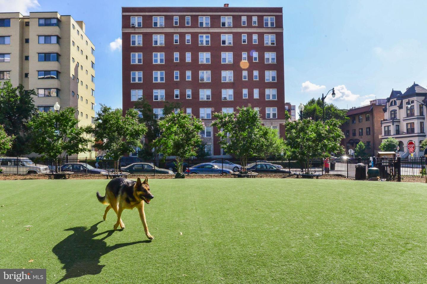 1621 T ST NW #207, WASHINGTON, District Of Columbia 20009, 1 Bedroom Bedrooms, ,1 BathroomBathrooms,Residential,For sale,1621 T ST NW #207,DCDC2229370 MLS # DCDC2229370 1621 T ST NW #207, WASHINGTON, District Of Columbia 20009, 1 Bedroom Bedrooms, ,1 BathroomBathrooms,Residential,For sale,1621 T ST NW #207,DCDC2229370 MLS # DCDC2229370