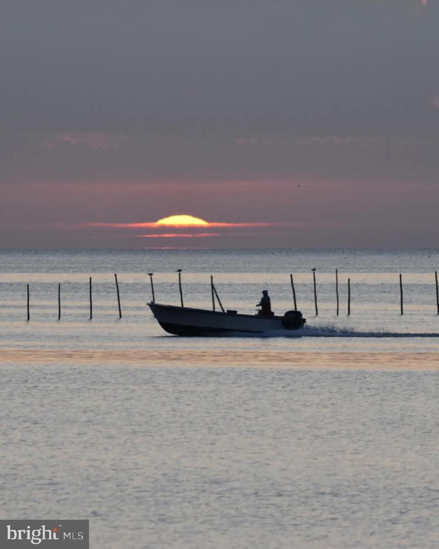 13 LEMING AVENUE, REEDVILLE, Virginia 22539, 4 Bedrooms Bedrooms, 13 Rooms Rooms,3 BathroomsBathrooms,Residential,For sale,13 LEMING AVENUE,VANV2001798 MLS # VANV2001798 13 LEMING AVENUE, REEDVILLE, Virginia 22539, 4 Bedrooms Bedrooms, 13 Rooms Rooms,3 BathroomsBathrooms,Residential,For sale,13 LEMING AVENUE,VANV2001798 MLS # VANV2001798