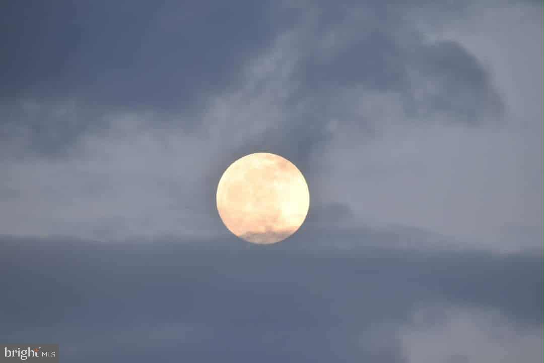 13 LEMING AVENUE, REEDVILLE, Virginia 22539, 4 Bedrooms Bedrooms, 13 Rooms Rooms,3 BathroomsBathrooms,Residential,For sale,13 LEMING AVENUE,VANV2001798 MLS # VANV2001798 13 LEMING AVENUE, REEDVILLE, Virginia 22539, 4 Bedrooms Bedrooms, 13 Rooms Rooms,3 BathroomsBathrooms,Residential,For sale,13 LEMING AVENUE,VANV2001798 MLS # VANV2001798