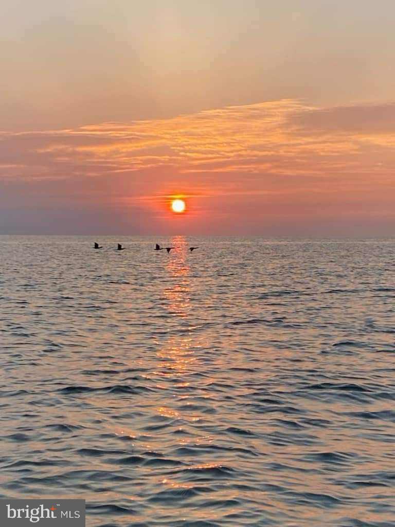 13 LEMING AVENUE, REEDVILLE, Virginia 22539, 4 Bedrooms Bedrooms, 13 Rooms Rooms,3 BathroomsBathrooms,Residential,For sale,13 LEMING AVENUE,VANV2001798 MLS # VANV2001798 13 LEMING AVENUE, REEDVILLE, Virginia 22539, 4 Bedrooms Bedrooms, 13 Rooms Rooms,3 BathroomsBathrooms,Residential,For sale,13 LEMING AVENUE,VANV2001798 MLS # VANV2001798