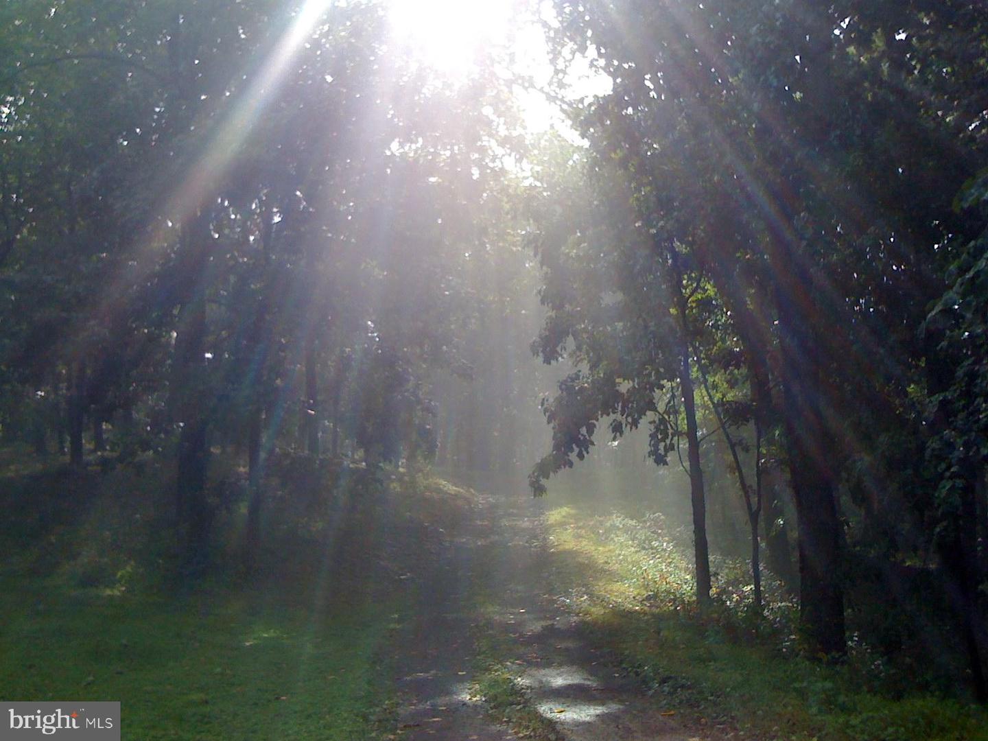 200 FOGG MOUNTAIN LN, FLINT HILL, Virginia 22627, 3 Bedrooms Bedrooms, ,2 BathroomsBathrooms,Residential,For sale,200 FOGG MOUNTAIN LN,VARP2002366 MLS # VARP2002366 200 FOGG MOUNTAIN LN, FLINT HILL, Virginia 22627, 3 Bedrooms Bedrooms, ,2 BathroomsBathrooms,Residential,For sale,200 FOGG MOUNTAIN LN,VARP2002366 MLS # VARP2002366