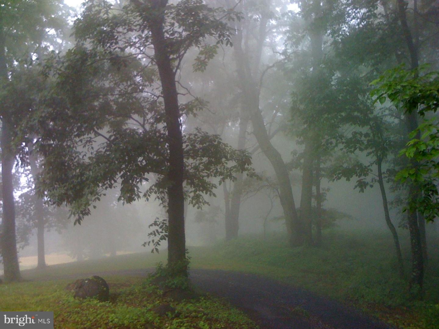 200 FOGG MOUNTAIN LN, FLINT HILL, Virginia 22627, 3 Bedrooms Bedrooms, ,2 BathroomsBathrooms,Residential,For sale,200 FOGG MOUNTAIN LN,VARP2002366 MLS # VARP2002366 200 FOGG MOUNTAIN LN, FLINT HILL, Virginia 22627, 3 Bedrooms Bedrooms, ,2 BathroomsBathrooms,Residential,For sale,200 FOGG MOUNTAIN LN,VARP2002366 MLS # VARP2002366