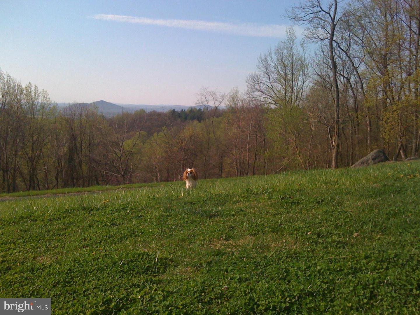 200 FOGG MOUNTAIN LN, FLINT HILL, Virginia 22627, 3 Bedrooms Bedrooms, ,2 BathroomsBathrooms,Residential,For sale,200 FOGG MOUNTAIN LN,VARP2002366 MLS # VARP2002366 200 FOGG MOUNTAIN LN, FLINT HILL, Virginia 22627, 3 Bedrooms Bedrooms, ,2 BathroomsBathrooms,Residential,For sale,200 FOGG MOUNTAIN LN,VARP2002366 MLS # VARP2002366