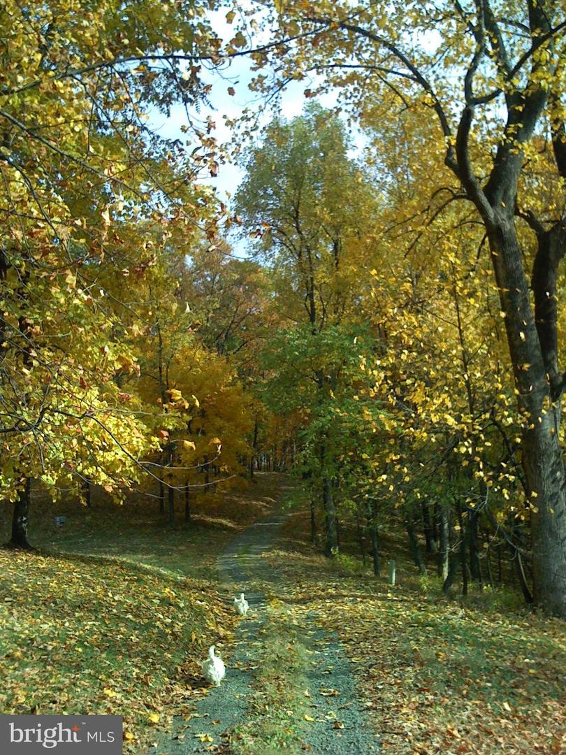 200 FOGG MOUNTAIN LN, FLINT HILL, Virginia 22627, 3 Bedrooms Bedrooms, ,2 BathroomsBathrooms,Residential,For sale,200 FOGG MOUNTAIN LN,VARP2002366 MLS # VARP2002366 200 FOGG MOUNTAIN LN, FLINT HILL, Virginia 22627, 3 Bedrooms Bedrooms, ,2 BathroomsBathrooms,Residential,For sale,200 FOGG MOUNTAIN LN,VARP2002366 MLS # VARP2002366