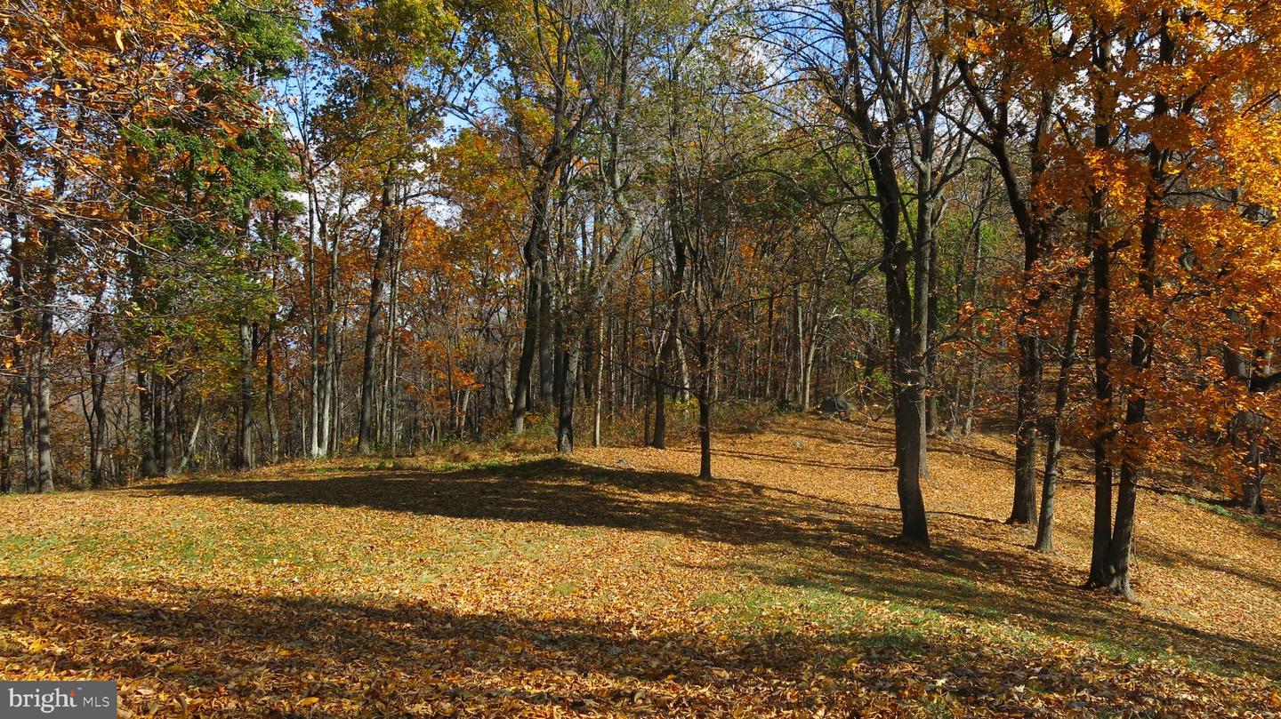 200 FOGG MOUNTAIN LN, FLINT HILL, Virginia 22627, 3 Bedrooms Bedrooms, ,2 BathroomsBathrooms,Residential,For sale,200 FOGG MOUNTAIN LN,VARP2002366 MLS # VARP2002366 200 FOGG MOUNTAIN LN, FLINT HILL, Virginia 22627, 3 Bedrooms Bedrooms, ,2 BathroomsBathrooms,Residential,For sale,200 FOGG MOUNTAIN LN,VARP2002366 MLS # VARP2002366