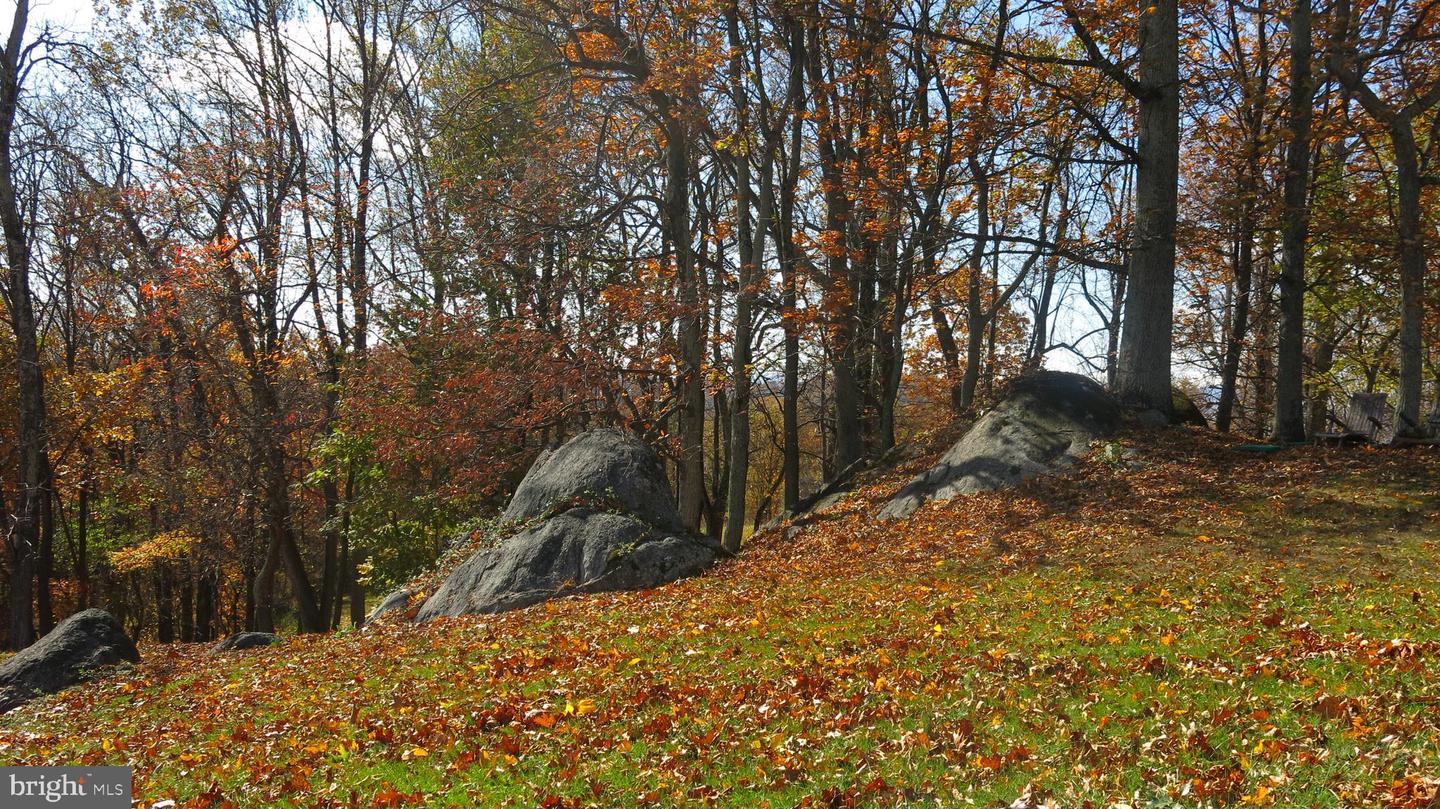 200 FOGG MOUNTAIN LN, FLINT HILL, Virginia 22627, 3 Bedrooms Bedrooms, ,2 BathroomsBathrooms,Residential,For sale,200 FOGG MOUNTAIN LN,VARP2002366 MLS # VARP2002366 200 FOGG MOUNTAIN LN, FLINT HILL, Virginia 22627, 3 Bedrooms Bedrooms, ,2 BathroomsBathrooms,Residential,For sale,200 FOGG MOUNTAIN LN,VARP2002366 MLS # VARP2002366