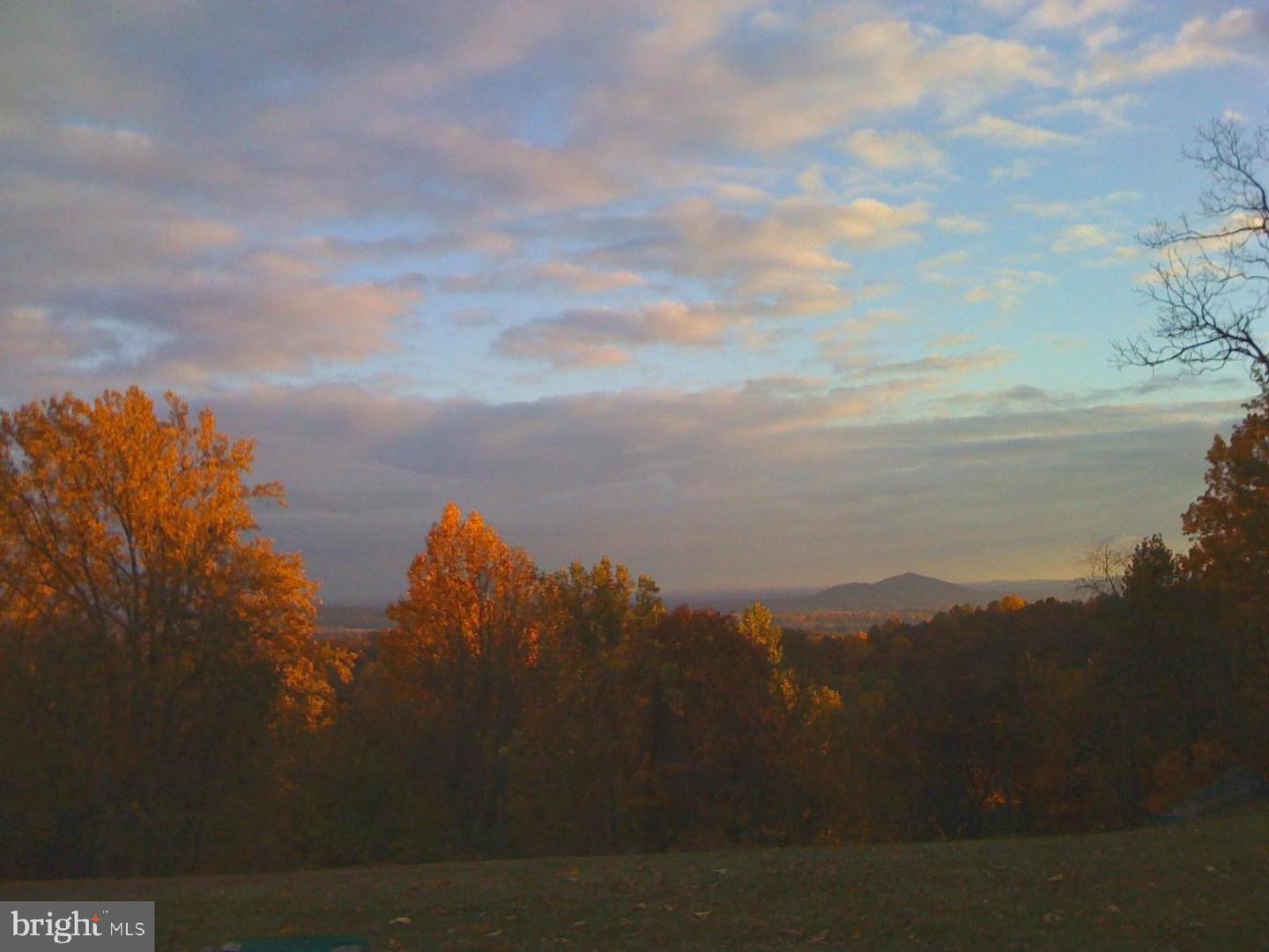 200 FOGG MOUNTAIN LN, FLINT HILL, Virginia 22627, 3 Bedrooms Bedrooms, ,2 BathroomsBathrooms,Residential,For sale,200 FOGG MOUNTAIN LN,VARP2002366 MLS # VARP2002366 200 FOGG MOUNTAIN LN, FLINT HILL, Virginia 22627, 3 Bedrooms Bedrooms, ,2 BathroomsBathrooms,Residential,For sale,200 FOGG MOUNTAIN LN,VARP2002366 MLS # VARP2002366