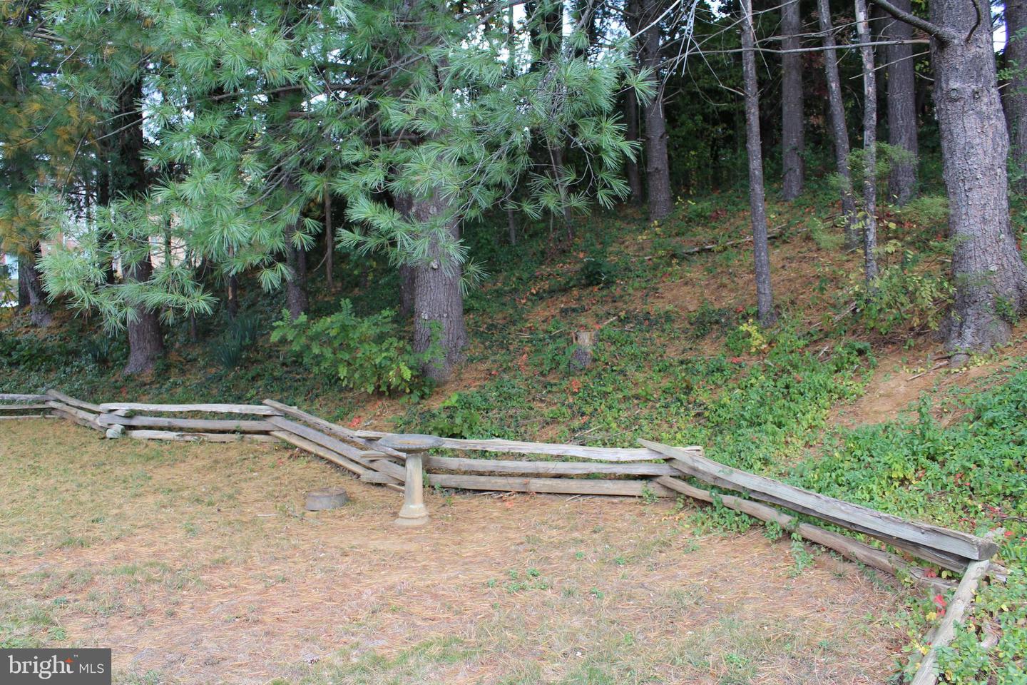 210 S SHENANDOAH AVE, FRONT ROYAL, Virginia 22630, 3 Bedrooms Bedrooms, ,1 BathroomBathrooms,Residential,For sale,210 S SHENANDOAH AVE,VAWR2012670 MLS # VAWR2012670 210 S SHENANDOAH AVE, FRONT ROYAL, Virginia 22630, 3 Bedrooms Bedrooms, ,1 BathroomBathrooms,Residential,For sale,210 S SHENANDOAH AVE,VAWR2012670 MLS # VAWR2012670