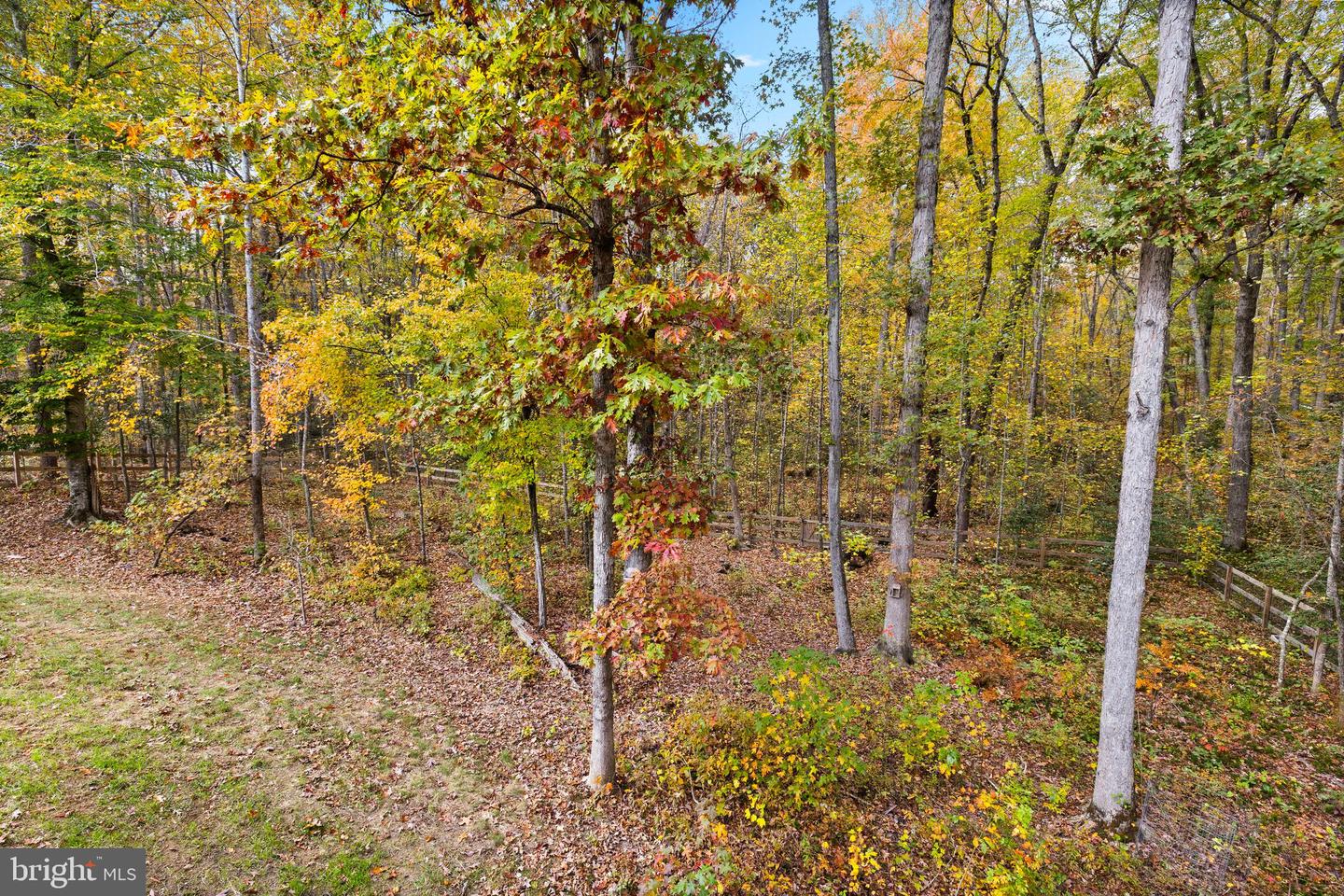 9113 ROYAL CT, PARTLOW, Virginia 22534, 4 Bedrooms Bedrooms, ,2 BathroomsBathrooms,Residential,For sale,9113 ROYAL CT,VASP2037278 MLS # VASP2037278 9113 ROYAL CT, PARTLOW, Virginia 22534, 4 Bedrooms Bedrooms, ,2 BathroomsBathrooms,Residential,For sale,9113 ROYAL CT,VASP2037278 MLS # VASP2037278