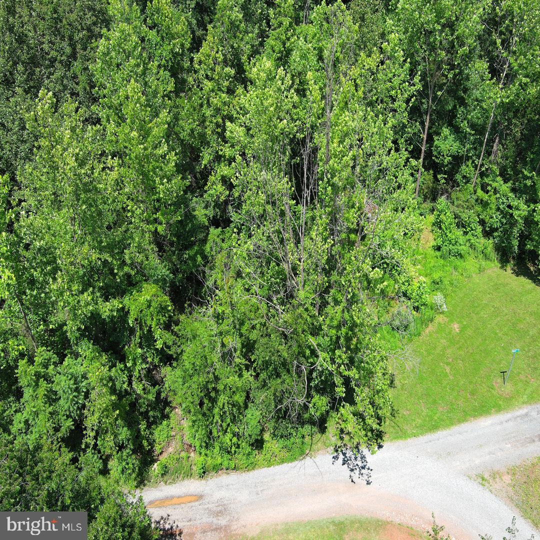 34 MCALEXANDER RD, ORANGE, Virginia 22960, ,Land,For sale,34 MCALEXANDER RD,VAOR2012604 MLS # VAOR2012604