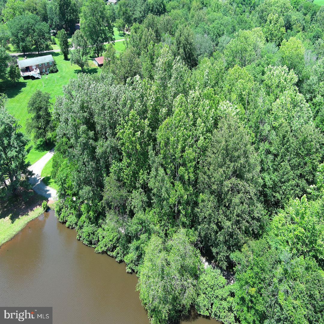 34 MCALEXANDER RD, ORANGE, Virginia 22960, ,Land,For sale,34 MCALEXANDER RD,VAOR2012604 MLS # VAOR2012604