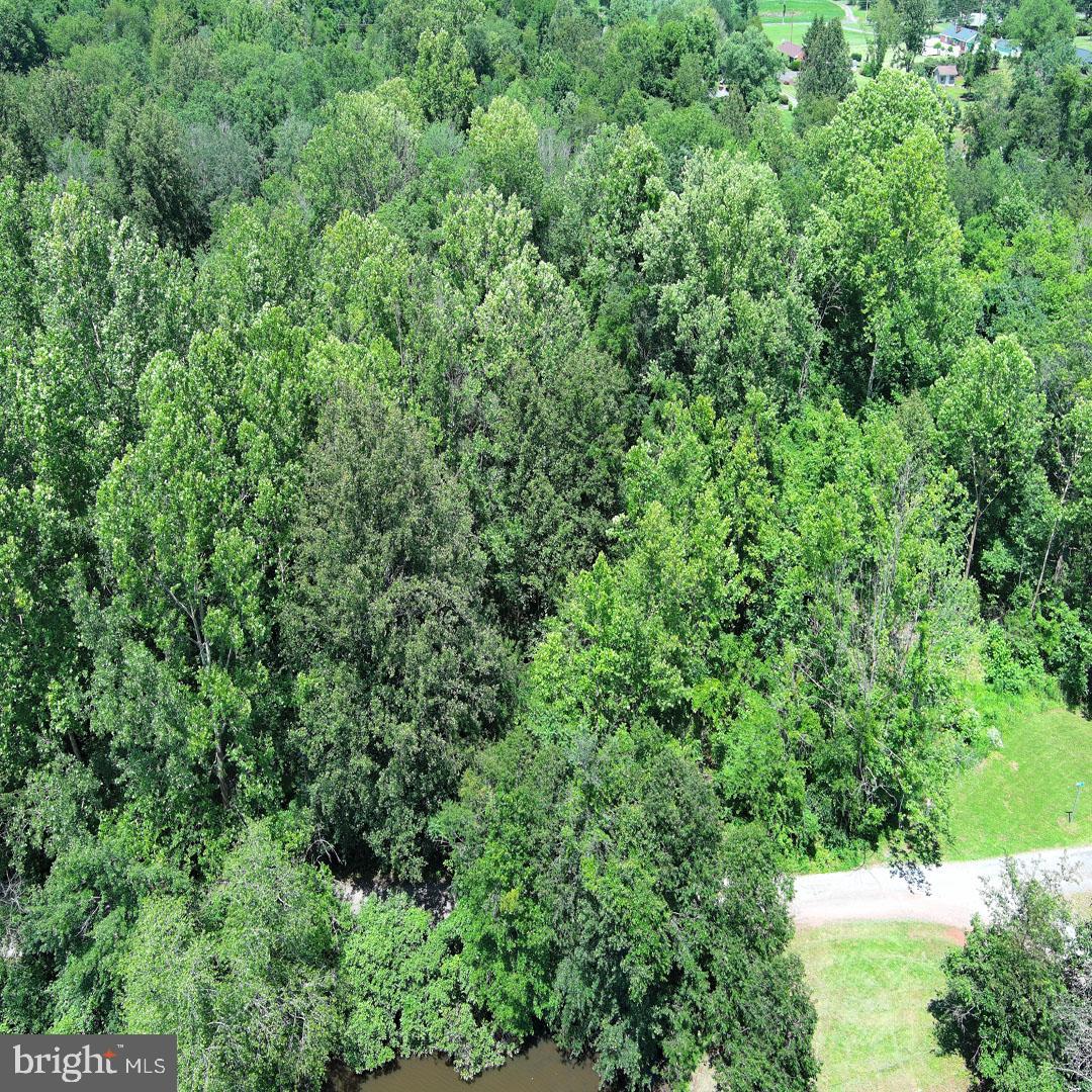 34 MCALEXANDER RD, ORANGE, Virginia 22960, ,Land,For sale,34 MCALEXANDER RD,VAOR2012604 MLS # VAOR2012604