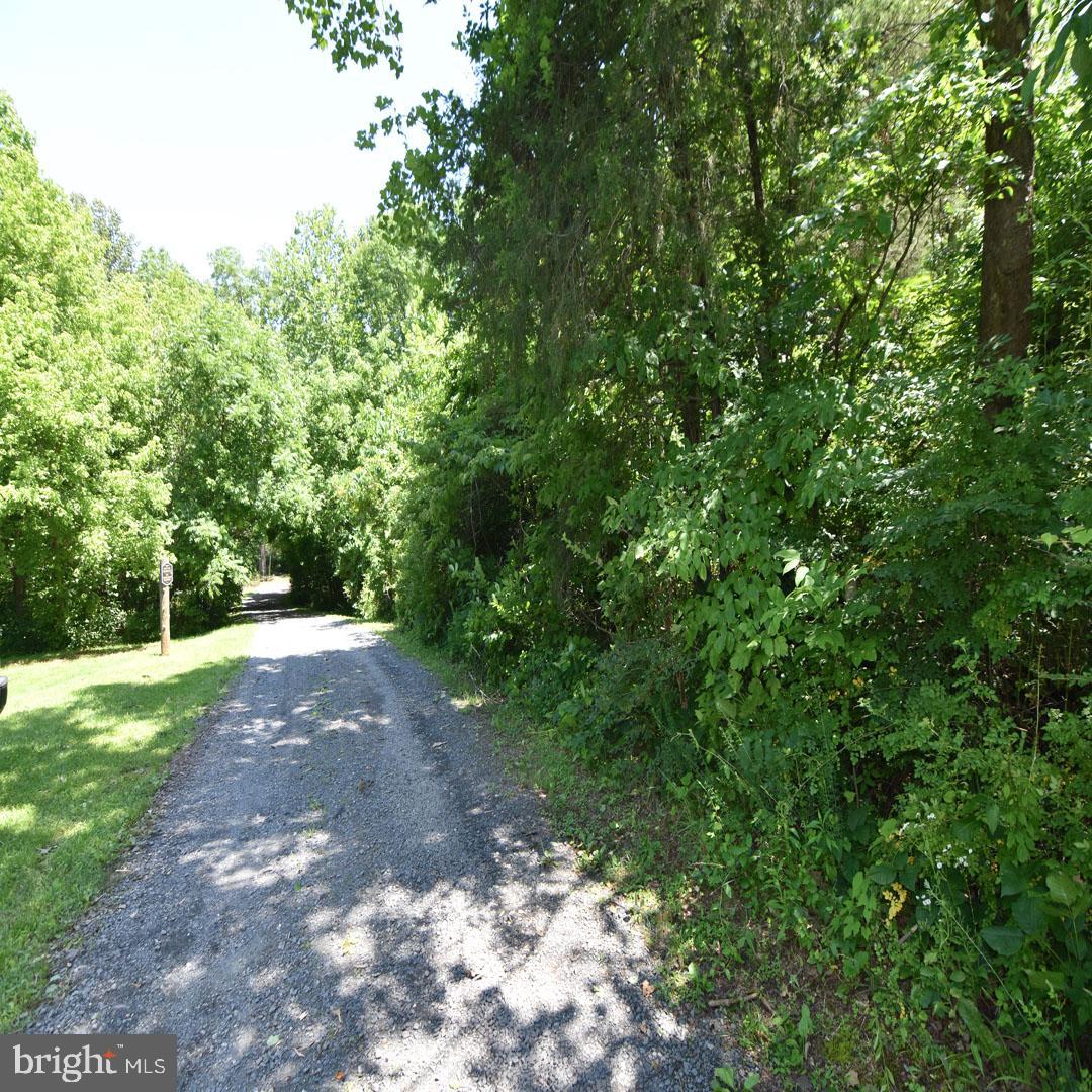 34 MCALEXANDER RD, ORANGE, Virginia 22960, ,Land,For sale,34 MCALEXANDER RD,VAOR2012604 MLS # VAOR2012604