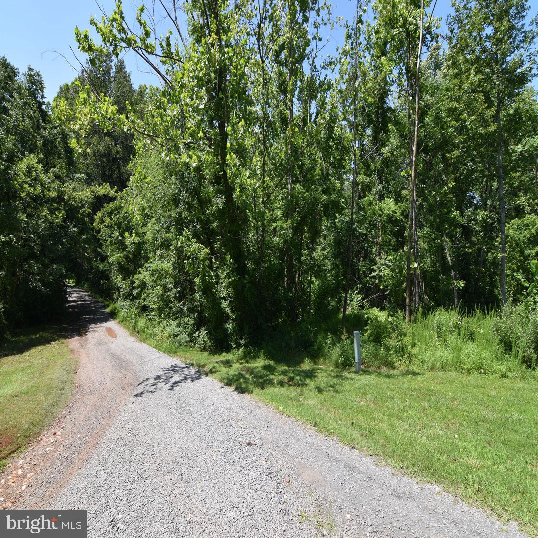 34 MCALEXANDER RD, ORANGE, Virginia 22960, ,Land,For sale,34 MCALEXANDER RD,VAOR2012604 MLS # VAOR2012604