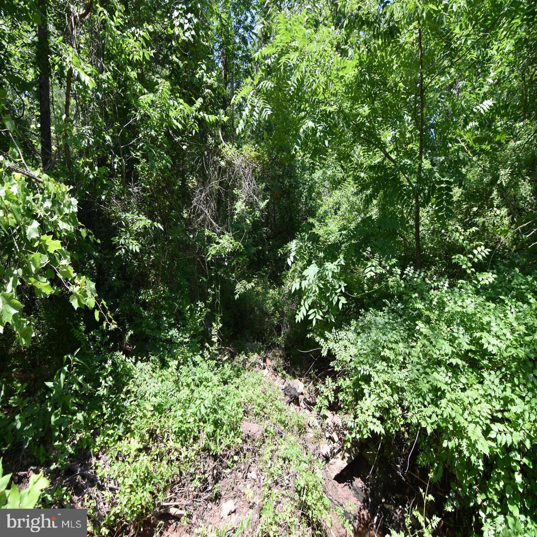 34 MCALEXANDER RD, ORANGE, Virginia 22960, ,Land,For sale,34 MCALEXANDER RD,VAOR2012604 MLS # VAOR2012604