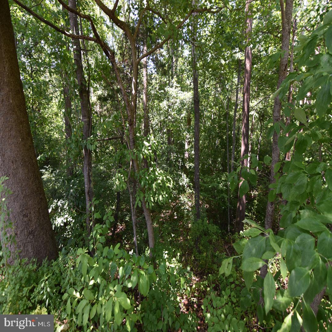 34 MCALEXANDER RD, ORANGE, Virginia 22960, ,Land,For sale,34 MCALEXANDER RD,VAOR2012604 MLS # VAOR2012604