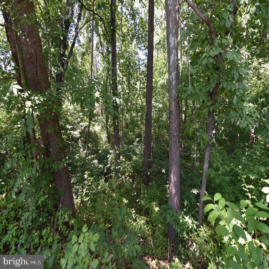 34 MCALEXANDER RD, ORANGE, Virginia 22960, ,Land,For sale,34 MCALEXANDER RD,VAOR2012604 MLS # VAOR2012604