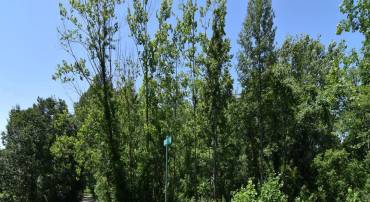 34 MCALEXANDER RD, ORANGE, Virginia 22960, ,Land,For sale,34 MCALEXANDER RD,VAOR2012604 MLS # VAOR2012604