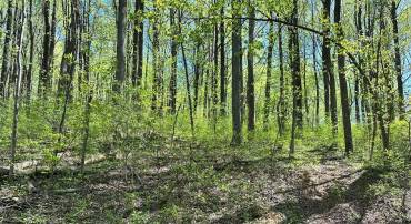REID DR, FRONT ROYAL, Virginia 22630, ,Land,For sale,REID DR,VAWR2012634 MLS # VAWR2012634