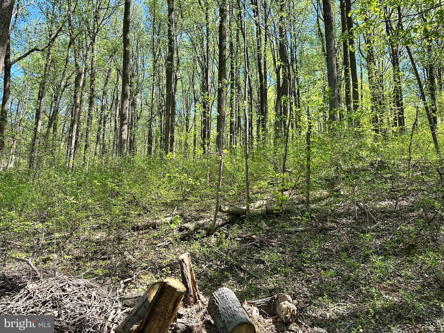 WAMBACH CT, FRONT ROYAL, Virginia 22630, ,Land,For sale,WAMBACH CT,VAWR2012636 MLS # VAWR2012636