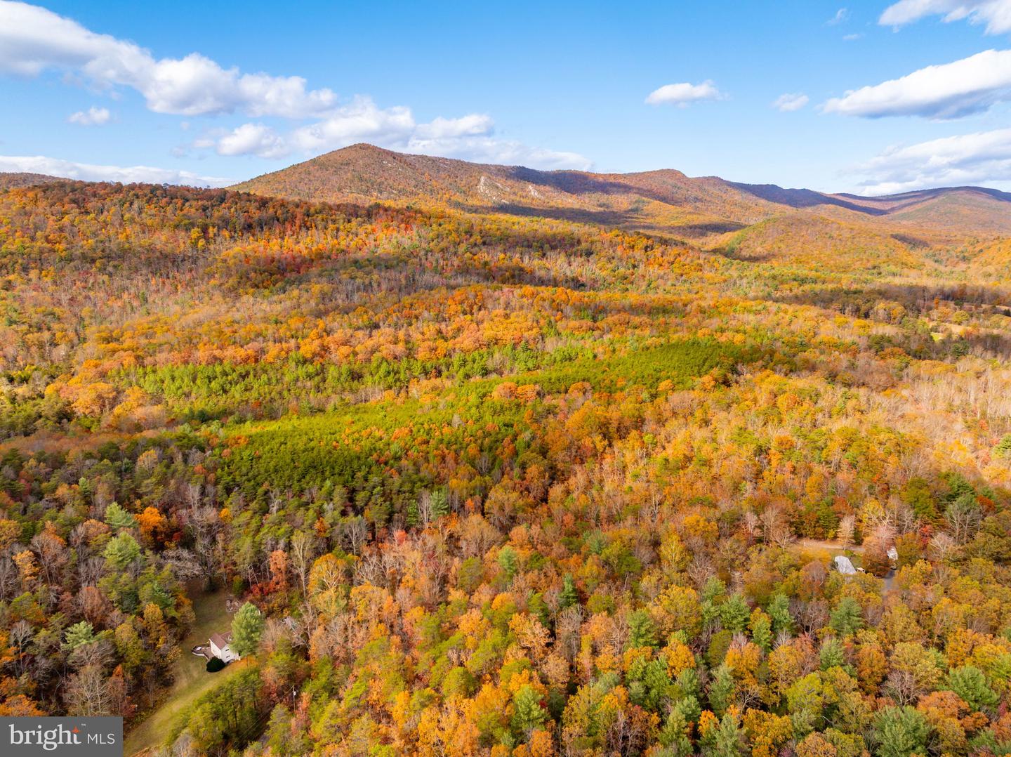 0 BETHANY CHURCH LN, EDINBURG, Virginia 22824, ,Farm,For sale,0 BETHANY CHURCH LN,VASH2012880 MLS # VASH2012880 0 BETHANY CHURCH LN, EDINBURG, Virginia 22824, ,Farm,For sale,0 BETHANY CHURCH LN,VASH2012880 MLS # VASH2012880