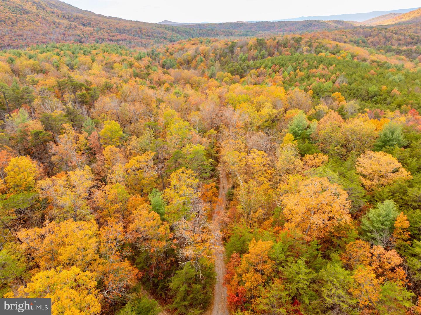 0 BETHANY CHURCH LN, EDINBURG, Virginia 22824, ,Farm,For sale,0 BETHANY CHURCH LN,VASH2012880 MLS # VASH2012880 0 BETHANY CHURCH LN, EDINBURG, Virginia 22824, ,Farm,For sale,0 BETHANY CHURCH LN,VASH2012880 MLS # VASH2012880