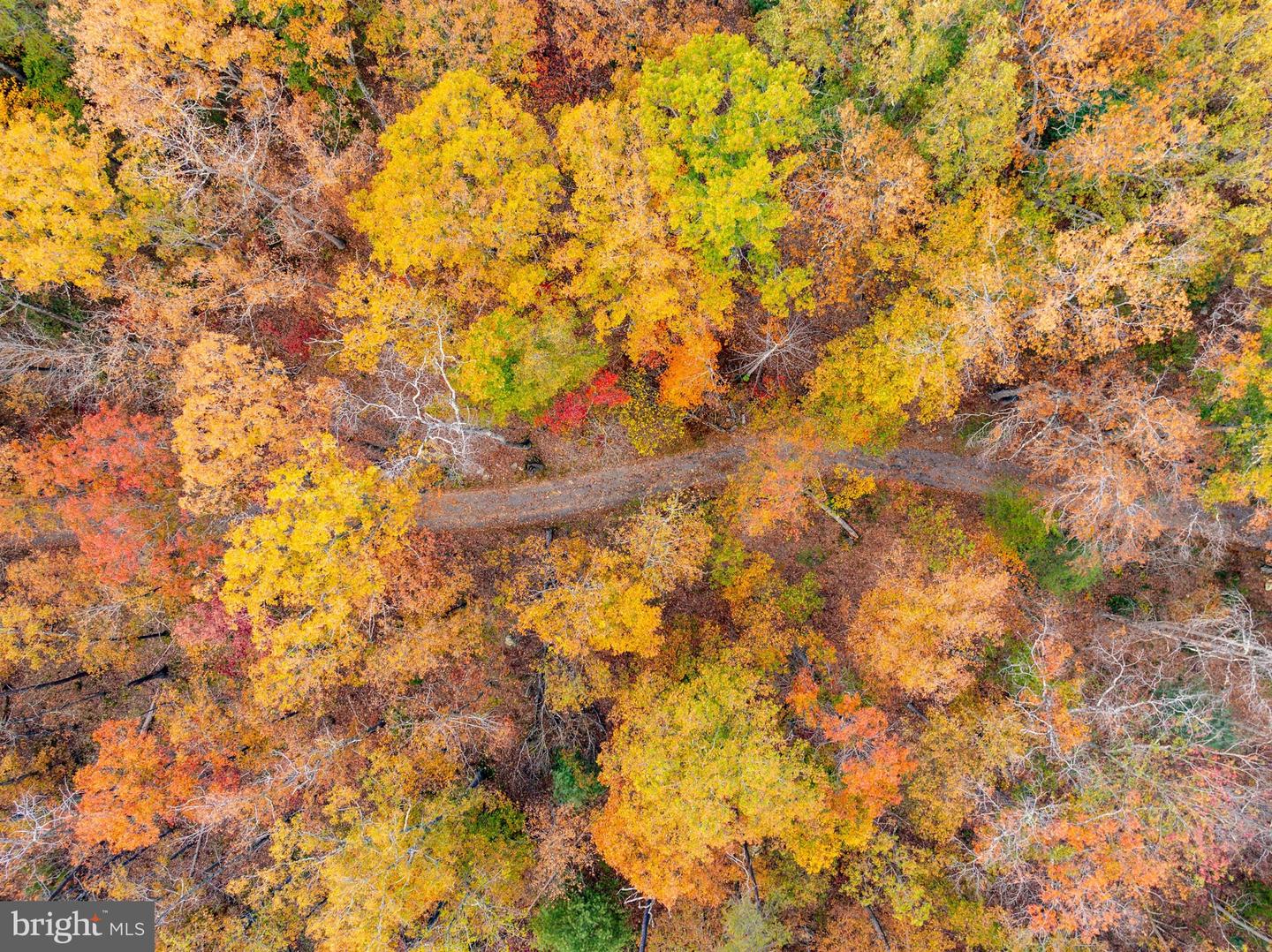 0 BETHANY CHURCH LN, EDINBURG, Virginia 22824, ,Farm,For sale,0 BETHANY CHURCH LN,VASH2012880 MLS # VASH2012880 0 BETHANY CHURCH LN, EDINBURG, Virginia 22824, ,Farm,For sale,0 BETHANY CHURCH LN,VASH2012880 MLS # VASH2012880