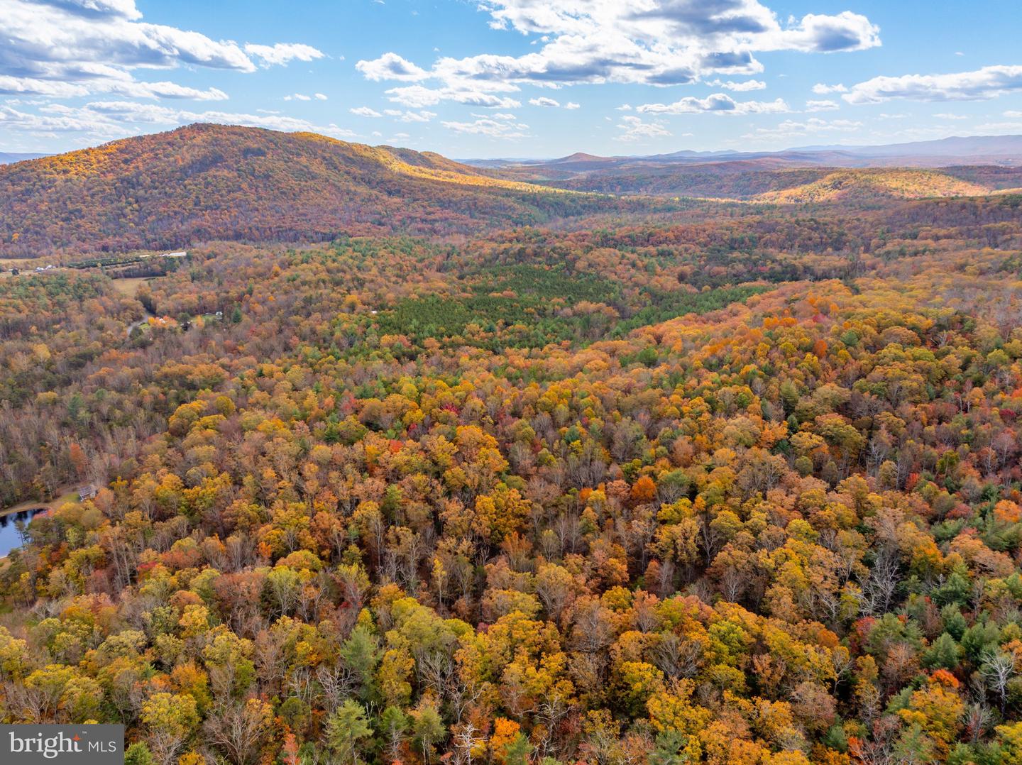 0 BETHANY CHURCH LN, EDINBURG, Virginia 22824, ,Farm,For sale,0 BETHANY CHURCH LN,VASH2012880 MLS # VASH2012880 0 BETHANY CHURCH LN, EDINBURG, Virginia 22824, ,Farm,For sale,0 BETHANY CHURCH LN,VASH2012880 MLS # VASH2012880