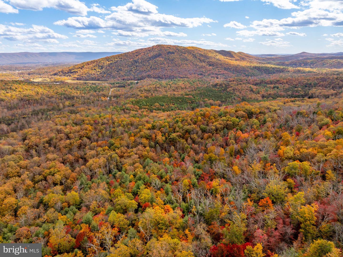 0 BETHANY CHURCH LN, EDINBURG, Virginia 22824, ,Farm,For sale,0 BETHANY CHURCH LN,VASH2012880 MLS # VASH2012880 0 BETHANY CHURCH LN, EDINBURG, Virginia 22824, ,Farm,For sale,0 BETHANY CHURCH LN,VASH2012880 MLS # VASH2012880
