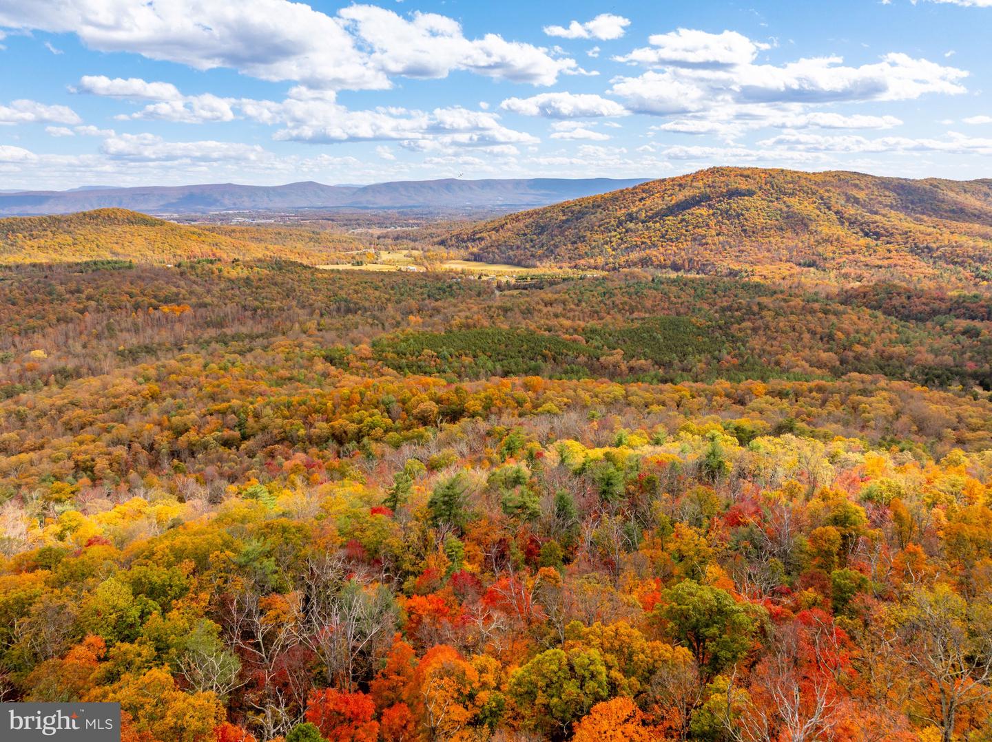 0 BETHANY CHURCH LN, EDINBURG, Virginia 22824, ,Farm,For sale,0 BETHANY CHURCH LN,VASH2012880 MLS # VASH2012880 0 BETHANY CHURCH LN, EDINBURG, Virginia 22824, ,Farm,For sale,0 BETHANY CHURCH LN,VASH2012880 MLS # VASH2012880