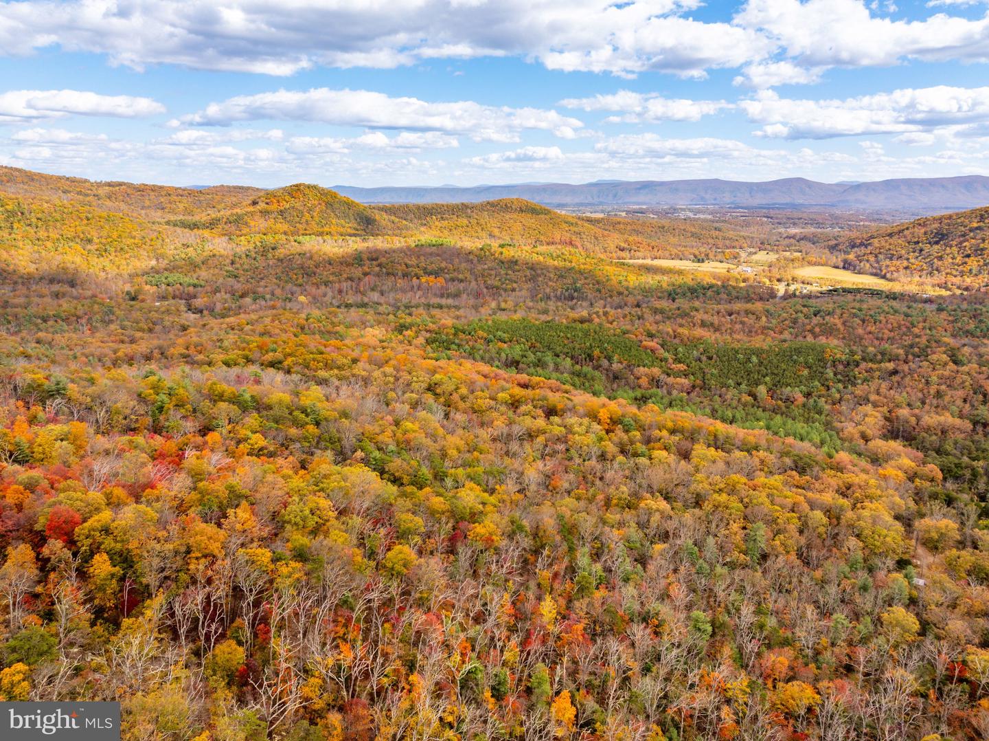 0 BETHANY CHURCH LN, EDINBURG, Virginia 22824, ,Farm,For sale,0 BETHANY CHURCH LN,VASH2012880 MLS # VASH2012880 0 BETHANY CHURCH LN, EDINBURG, Virginia 22824, ,Farm,For sale,0 BETHANY CHURCH LN,VASH2012880 MLS # VASH2012880