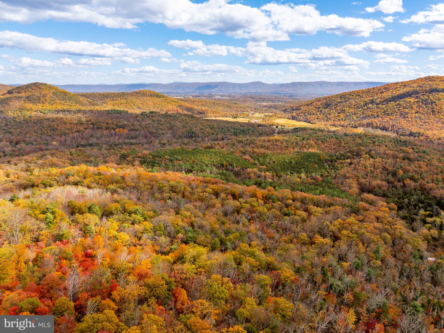 0 BETHANY CHURCH LN, EDINBURG, Virginia 22824, ,Farm,For sale,0 BETHANY CHURCH LN,VASH2012880 MLS # VASH2012880 0 BETHANY CHURCH LN, EDINBURG, Virginia 22824, ,Farm,For sale,0 BETHANY CHURCH LN,VASH2012880 MLS # VASH2012880