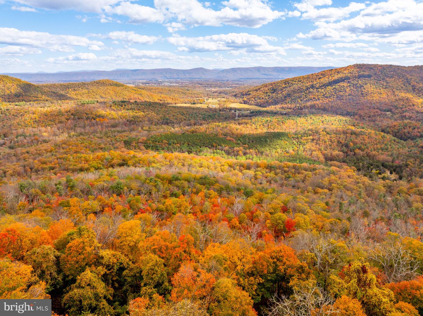 0 BETHANY CHURCH LN, EDINBURG, Virginia 22824, ,Farm,For sale,0 BETHANY CHURCH LN,VASH2012880 MLS # VASH2012880 0 BETHANY CHURCH LN, EDINBURG, Virginia 22824, ,Farm,For sale,0 BETHANY CHURCH LN,VASH2012880 MLS # VASH2012880