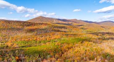 0 BETHANY CHURCH LN, EDINBURG, Virginia 22824, ,Farm,For sale,0 BETHANY CHURCH LN,VASH2012880 MLS # VASH2012880