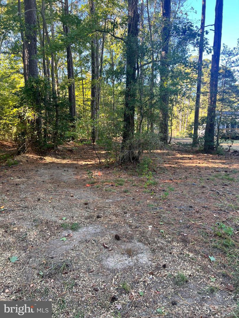 26 HARBOR CT, MONTROSS, Virginia 22520, ,Land,For sale,26 HARBOR CT,VAWE2010040 MLS # VAWE2010040 26 HARBOR CT, MONTROSS, Virginia 22520, ,Land,For sale,26 HARBOR CT,VAWE2010040 MLS # VAWE2010040