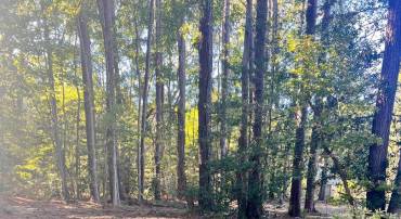 26 HARBOR CT, MONTROSS, Virginia 22520, ,Land,For sale,26 HARBOR CT,VAWE2010040 MLS # VAWE2010040