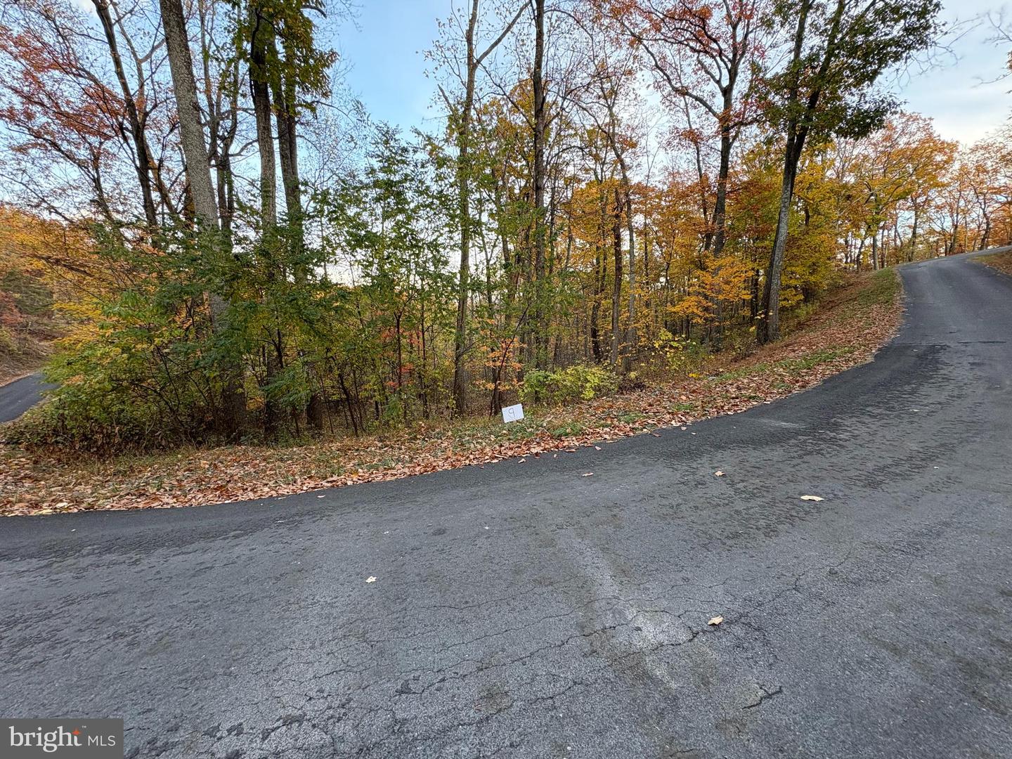 LOT 9 DOGWOOD TRL, FREDERICK, Virginia 22602, ,Land,For sale,LOT 9 DOGWOOD TRL,VAFV2037742 MLS # VAFV2037742