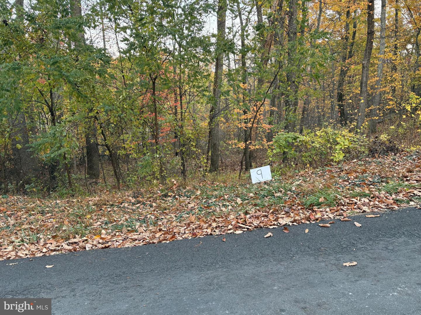 LOT 9 DOGWOOD TRL, FREDERICK, Virginia 22602, ,Land,For sale,LOT 9 DOGWOOD TRL,VAFV2037742 MLS # VAFV2037742