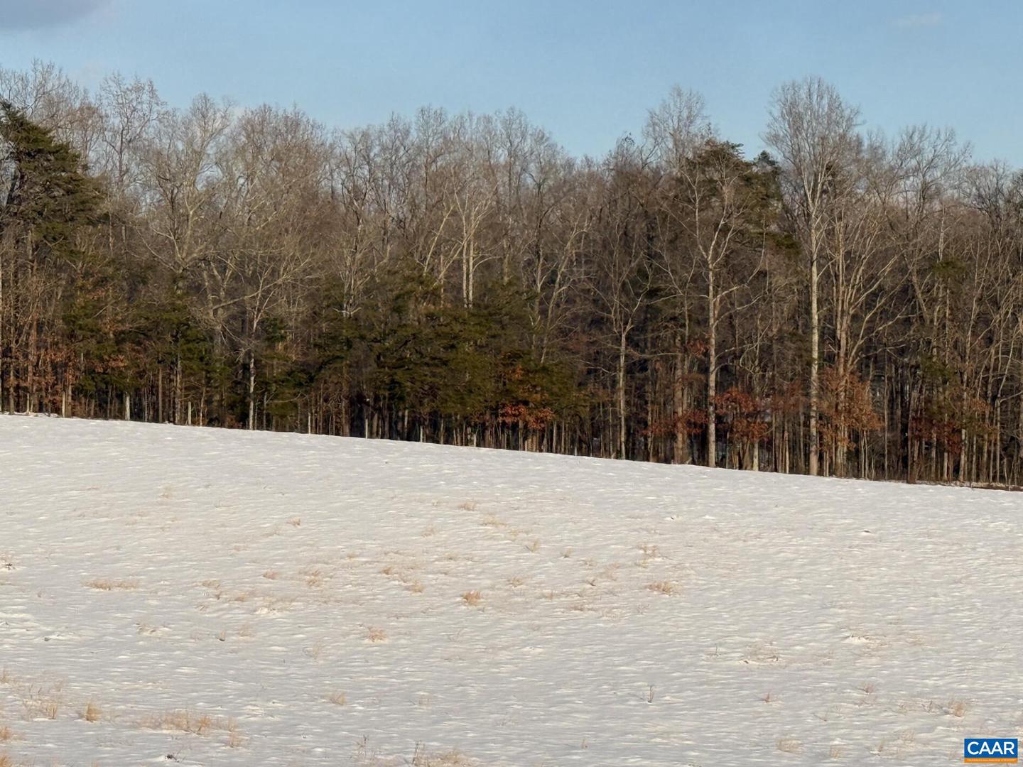 00 OLD HOMEPLACE LN #32-37A, 32037-B, 32-, BRIGHTWOOD, Virginia 22735, ,Farm,For sale,00 OLD HOMEPLACE LN #32-37A, 32037-B, 32-,670548 MLS # 670548 00 OLD HOMEPLACE LN #32-37A, 32037-B, 32-, BRIGHTWOOD, Virginia 22735, ,Farm,For sale,00 OLD HOMEPLACE LN #32-37A, 32037-B, 32-,670548 MLS # 670548