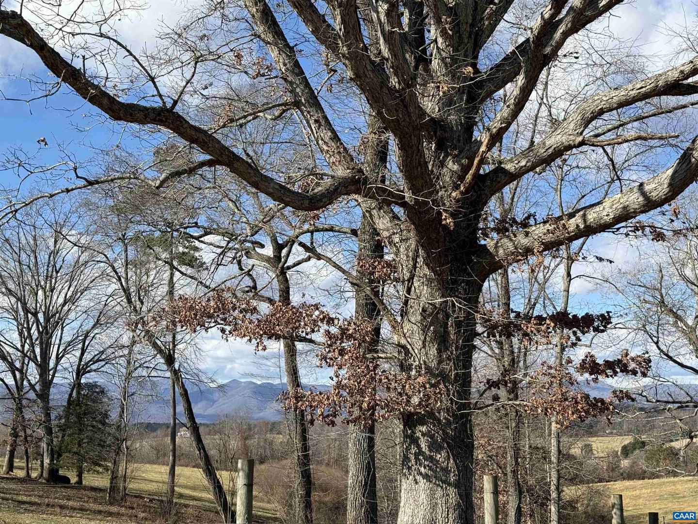 00 OLD HOMEPLACE LN #32-37A, 32037-B, 32-, BRIGHTWOOD, Virginia 22735, ,Farm,For sale,00 OLD HOMEPLACE LN #32-37A, 32037-B, 32-,670548 MLS # 670548 00 OLD HOMEPLACE LN #32-37A, 32037-B, 32-, BRIGHTWOOD, Virginia 22735, ,Farm,For sale,00 OLD HOMEPLACE LN #32-37A, 32037-B, 32-,670548 MLS # 670548