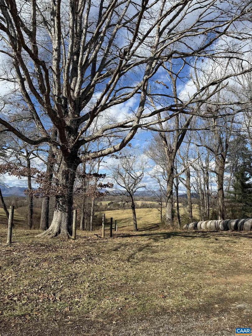 00 OLD HOMEPLACE LN #32-37A, 32037-B, 32-, BRIGHTWOOD, Virginia 22735, ,Farm,For sale,00 OLD HOMEPLACE LN #32-37A, 32037-B, 32-,670548 MLS # 670548 00 OLD HOMEPLACE LN #32-37A, 32037-B, 32-, BRIGHTWOOD, Virginia 22735, ,Farm,For sale,00 OLD HOMEPLACE LN #32-37A, 32037-B, 32-,670548 MLS # 670548