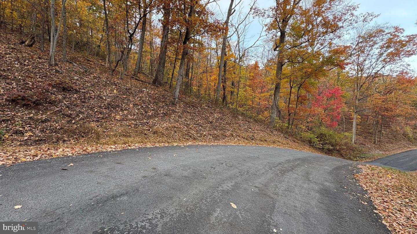 LOT 101 DOGWOOD TRL, WINCHESTER, Virginia 22602, ,Land,For sale,LOT 101 DOGWOOD TRL,VAFV2037748 MLS # VAFV2037748