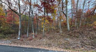 LOT 102 DOGWOOD TRL, WINCHESTER, Virginia 22602, ,Land,For sale,LOT 102 DOGWOOD TRL,VAFV2037750 MLS # VAFV2037750