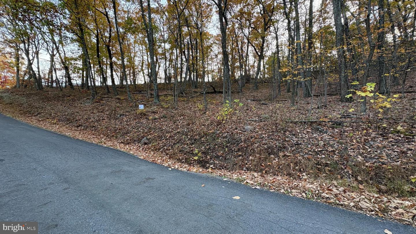 LOT 103 DOGWOOD TRL, WINCHESTER, Virginia 22602, ,Land,For sale,LOT 103 DOGWOOD TRL,VAFV2037752 MLS # VAFV2037752