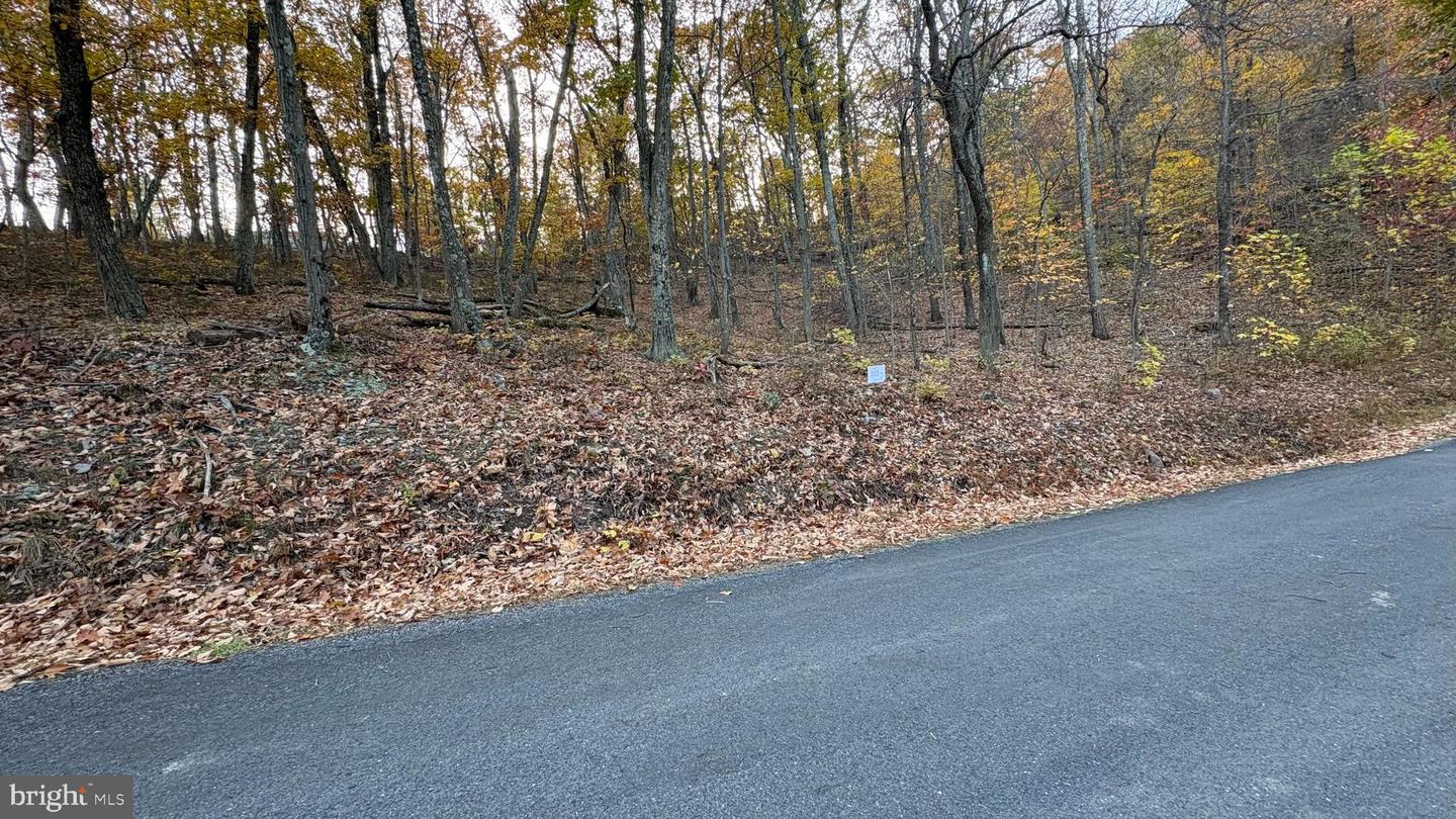 LOT 103 DOGWOOD TRL, WINCHESTER, Virginia 22602, ,Land,For sale,LOT 103 DOGWOOD TRL,VAFV2037752 MLS # VAFV2037752